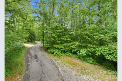 193 Fern Cove Lane, Gerton, NC 28735 - Photo 10