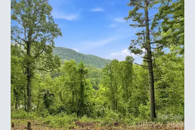 193 Fern Cove Lane, Gerton, NC 28735 - Photo 1