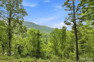 193 Fern Cove Ln, Gerton, NC 28735 - Photo 1