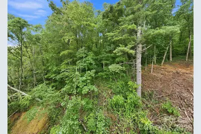 193 Fern Cove Lane, Gerton, NC 28735 - Photo 6