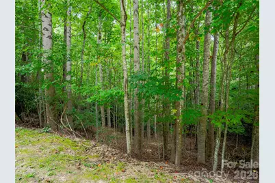 76 Old Hickory, Lot 152 Trail, Hendersonville, NC 28739 - Photo 8