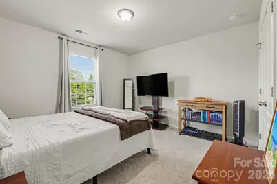 437 Zoe Bee Drive, Clover, SC 29710 - Photo 22