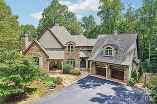 361 Mills River Way, Horse Shoe, NC 28742 - Photo 2