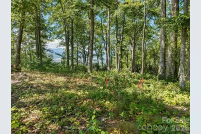 Lot 42 Haven View Trail, Fletcher, NC 28732 - Photo 10