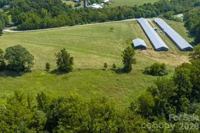 1706 Ross Wood Road, Trinity, NC 27370 - Photo 10