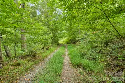 1768 Beaver Dam Road, Vilas, NC 28692 - Photo 6