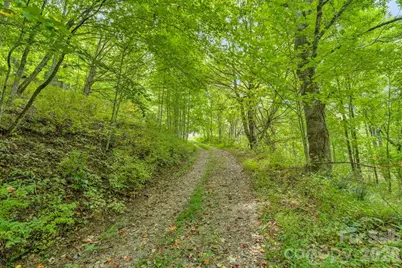 1768 Beaver Dam Road, Vilas, NC 28692 - Photo 1