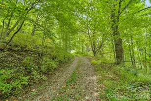 1768 Beaver Dam Rd, Vilas, NC 28692 - Photo 1