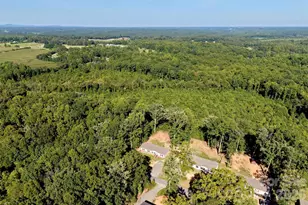 3194 Medicine Bow None, Claremont, NC 28610 - Photo 30