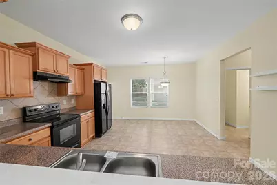 460 Dutch White Drive, Clover, SC 29710 - Photo 14
