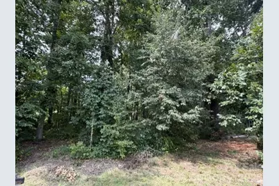 809 2nd Street SE, Conover, NC 28613 - Photo 4