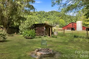 10687 Cruso Rd, Canton, NC 28716 - Photo 26