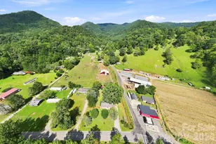 10687 Cruso Rd, Canton, NC 28716 - Photo 30