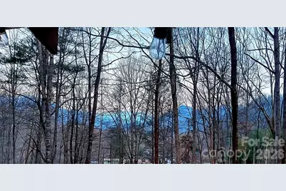 174 Nix Creek Road, Canton, NC 28716 - Photo 12