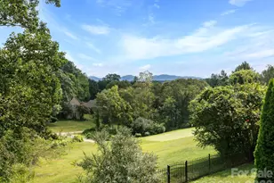 7 Round Robin Ln, Mills River, NC 28759 - Photo 28