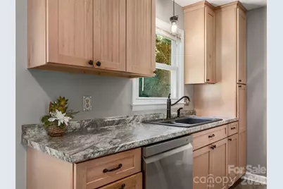 403 Lower Grassy Branch Road, Asheville, NC 28805 - Photo 8