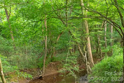 0000 Lucy Short Cut Road #2, Marshville, NC 28103 - Photo 28
