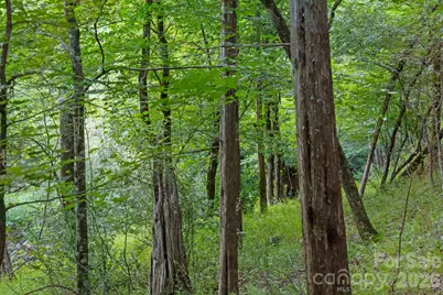0000 Lucy Short Cut Road #3, Marshville, NC 28103 - Photo 6