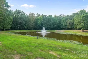 5550 Cauble Rd, Mount Pleasant, NC 28124 - Photo 44