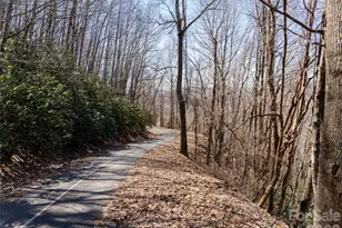99999 Laurel Dr, Mills River, NC 28759 - Photo 14