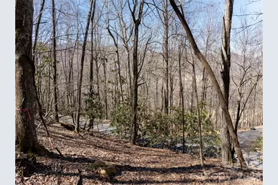 99999 Laurel Drive, Mills River, NC 28759 - Photo 20