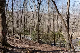 99999 Laurel Dr, Mills River, NC 28759 - Photo 20