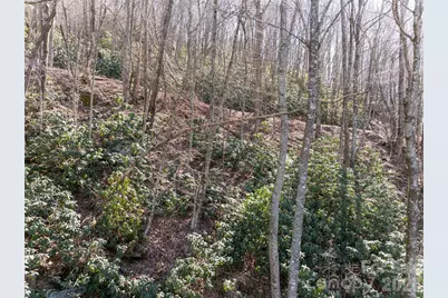 99999 Laurel Drive, Mills River, NC 28759 - Photo 6