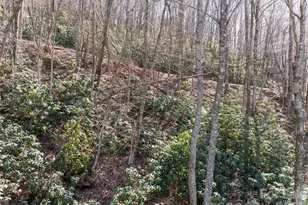 99999 Laurel Dr, Mills River, NC 28759 - Photo 6