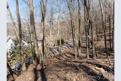 99999 Laurel Drive, Mills River, NC 28759 - Photo 8