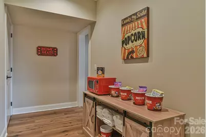 1914 Catawba Falls Parkway, Black Mountain, NC 28711 - Photo 38