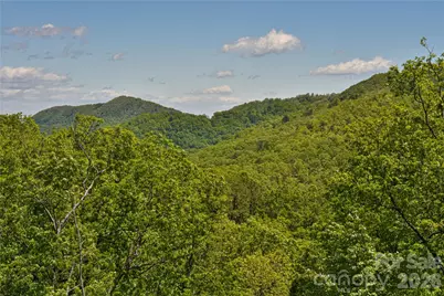 1914 Catawba Falls Parkway, Black Mountain, NC 28711 - Photo 22