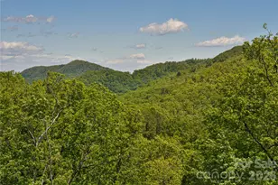 1914 Catawba Falls Pkwy, Black Mountain, NC 28711 - Photo 22