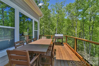 1914 Catawba Falls Parkway, Black Mountain, NC 28711 - Photo 20