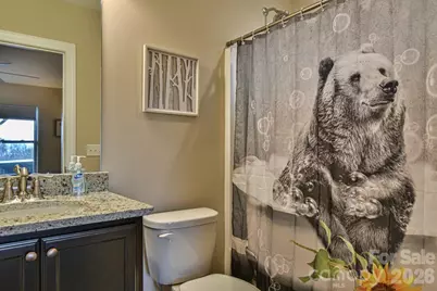 1914 Catawba Falls Parkway, Black Mountain, NC 28711 - Photo 30