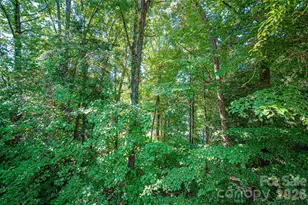 247 Spring Shore Rd, Statesville, NC 28677 - Photo 34