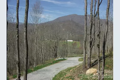 000 Compromise Drive, Waynesville, NC 28785 - Photo 8