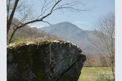 000 Compromise Drive, Waynesville, NC 28785 - Photo 16