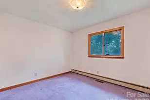 2968 Dutch Cove Rd, Canton, NC 28716 - Photo 20