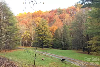 982 Jakes Mountain Road, Deep Gap, NC 28618 - Photo 44