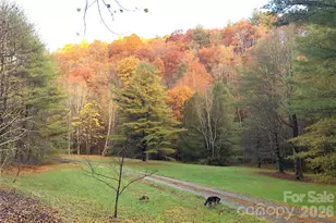 982 Jake's Mountain Rd, Deep Gap, NC 28618 - Photo 44