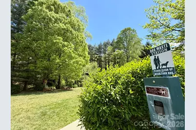 22 Willow Tree Run, Asheville, NC 28803 - Photo 38