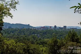 35 Elias Pl, Asheville, NC 28804 - Photo 46