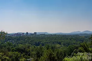 35 Elias Pl, Asheville, NC 28804 - Photo 42