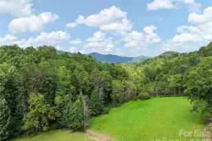 174 Marina Cv, Waynesville, NC 28785 - Photo 40