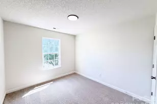 8616 Silver Falls Way, Charlotte, NC 28227 - Photo 14