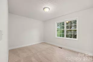 4750 Dalena Dr, Claremont, NC 28610 - Photo 10