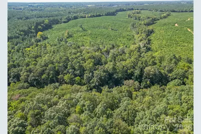 589 Bill Curlee Road, Polkton, NC 28135 - Photo 10