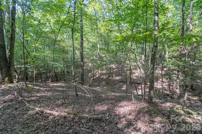 589 Bill Curlee Road, Polkton, NC 28135 - Photo 30