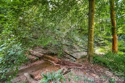 89 Lakemont Park Road, Bethlehem, NC 28601 - Photo 40