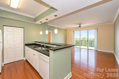300 W 5th Street #718, Charlotte, NC 28202 - Photo 4
